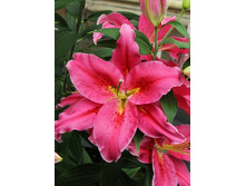 31,06���. ����� ���� �������(��� 5 ��. ���������� ������ 2 ��� 3 ��.)���15.jpg