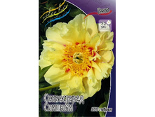 1450���. ���� ����������� ������� (���)(�������� ���� �� 1 ��., ����������� ����� 1��.).jpg