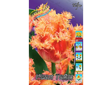 27,86���. ������� ���� ����(��� 10 ��. ���������� ������ 5��.).jpg