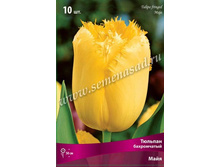 ������� ����.jpg