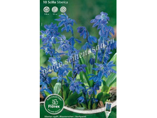 �������� ���������.jpg