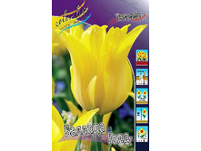 19,43���. ������� ������� ����(��� 10 ��. ���������� ������ 5��.).jpg