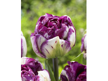 34,71���. ������� �������(��� 7 ��. ���������� ������ 3 ��� 4 ��.)���16.jpg