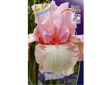 91,55���. ���� ���������� ������(�������� ���� �� 2 ��., ����������� ����� 1��.).jpg