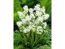 10,63���. ������������ �����(���������� ������ ������ ���������� �� 10 ��.)���16.jpg