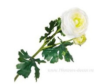 3661864013505 ������ ������������� �����, 51�� 192 225,4.jpg