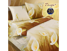 ����� 5428