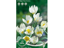 ������� ���������.jpg