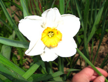 IMG 4760.JPG
