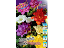 11���. ������ �����, ������.(���������� ������ ������ ���������� �� 10 ��.).jpg