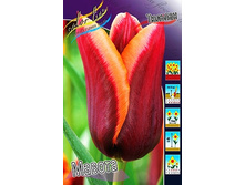 21,3���. ������� ������(��� 10 ��. ���������� ������ 5��.).jpg