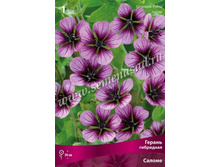 ������ ��������� ������.jpg