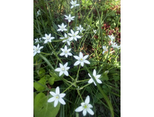 IMG 20160528 165815.jpg