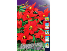 14,75���. ������� ���������(���������� ������ ������ ���������� �� 10 ��.).jpg