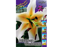 43,3���. ����� ������ ������(�������� ���� �� 5 ��., ����������� ����� 1��.).jpg