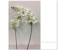 4606500620616 ������ ������������� ����������, 105 �� 1 1547,9.jpg