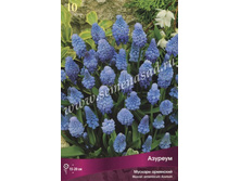 ������� ��������� �������.jpg