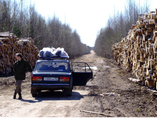 ���������� �����