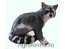 ����-1 ��00---51-1