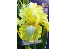 91,55���. ���� ���������� ����� ���(�������� ���� �� 2 ��., ����������� ����� 1��.).jpg