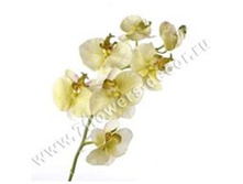 3760169248565 ������ ������������� ����������, 74�� 144 445,05.jpg