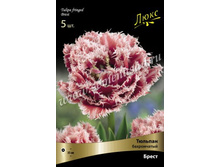 ������� �����.jpg