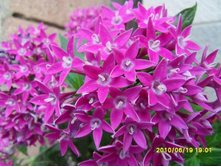 ������ ��������� ...