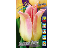 13,81���. ������� ������� ����(���������� ������ ������ ���������� �� 10 ��.).jpg