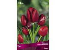 ������� �����.jpg