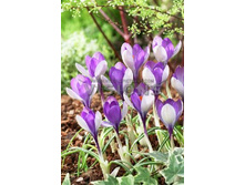 9,43���. ������ ����(���������� ������ ������ ���������� �� 7 ��.)���16.jpg