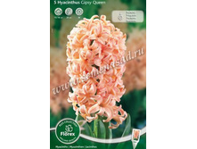 ������� ������ ����.jpg