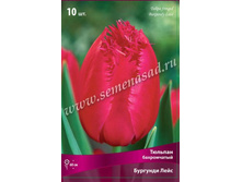 ������� �������� ����.jpg