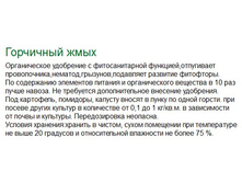 ��������� ����.jpg