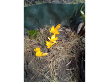 IMG 20160424 121946.jpg