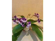 ��-������