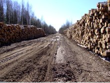 ���������� �����