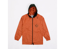 1800� �������� Anteater.jpg