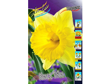 19,43���. ������� ���� ��(��� 10 ��. ���������� ������ 5��.).jpg