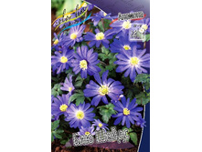 5,15���. ������� ��� �����(���������� ������ ������ ���������� �� 15 ��.).jpg