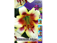 43,3���. ����� ����� ���(�������� ���� �� 5 ��., ����������� ����� 1��.).jpg