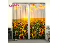 02601 ��������� "����� ����������"