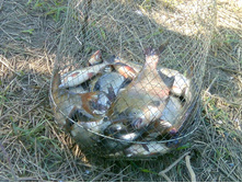 IMG 20160513 122136.jpg