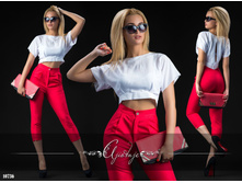 ������ - 10736, 295����.