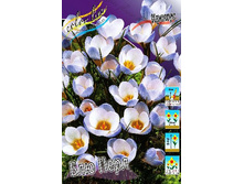 6,69���. ������ ��� ���� (����.)(���������� ������ ������ ���������� �� 10 ��.).jpg