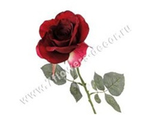 3760169245762 ������ ������������� ���� Brenda, 57�� 144 258,75.jpg