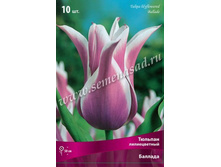 ������� �������.jpg