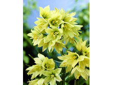 378,15���. ����������� �����(�������� ���� �� 2 ��., ����������� ����� 1��.).jpg