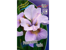 66,2���. ���� ��������� ��������� ����(�������� ���� �� 2 ��., ����������� ����� 1��.).jpg