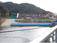 DSCN0613.JPG