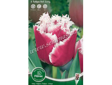 ������� ���� ����.jpg